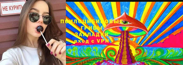 ГАЛЛЮЦИНОГЕННЫЕ ГРИБЫ Алексин