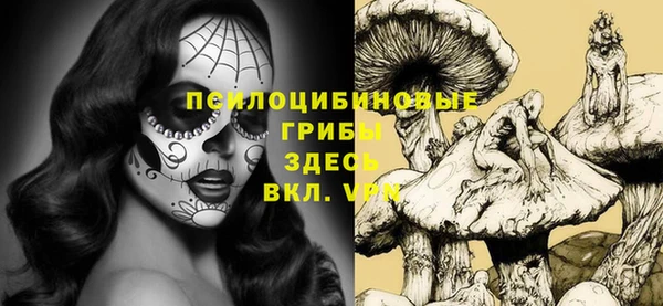 ГАЛЛЮЦИНОГЕННЫЕ ГРИБЫ Алексин