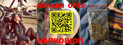 прущие крисы Тара