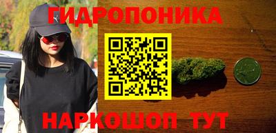 прущие крисы Тара