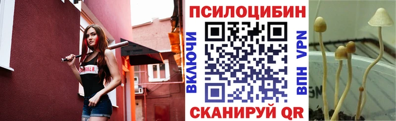 где купить наркотик  Орск  Галлюциногенные грибы Psilocybine cubensis 